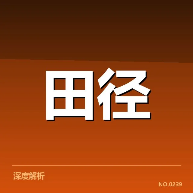 已公布的钻石联赛赛制和技术数据